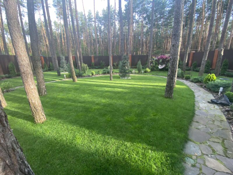 https://tula.mslandshaft.ru/storage/app/uploads/public/642/ac8/b04/642ac8b0465e0893828719.jpg